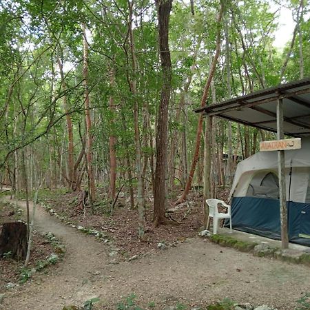 Campamento Yaax Che En Calakmul Conhuas Exterior photo