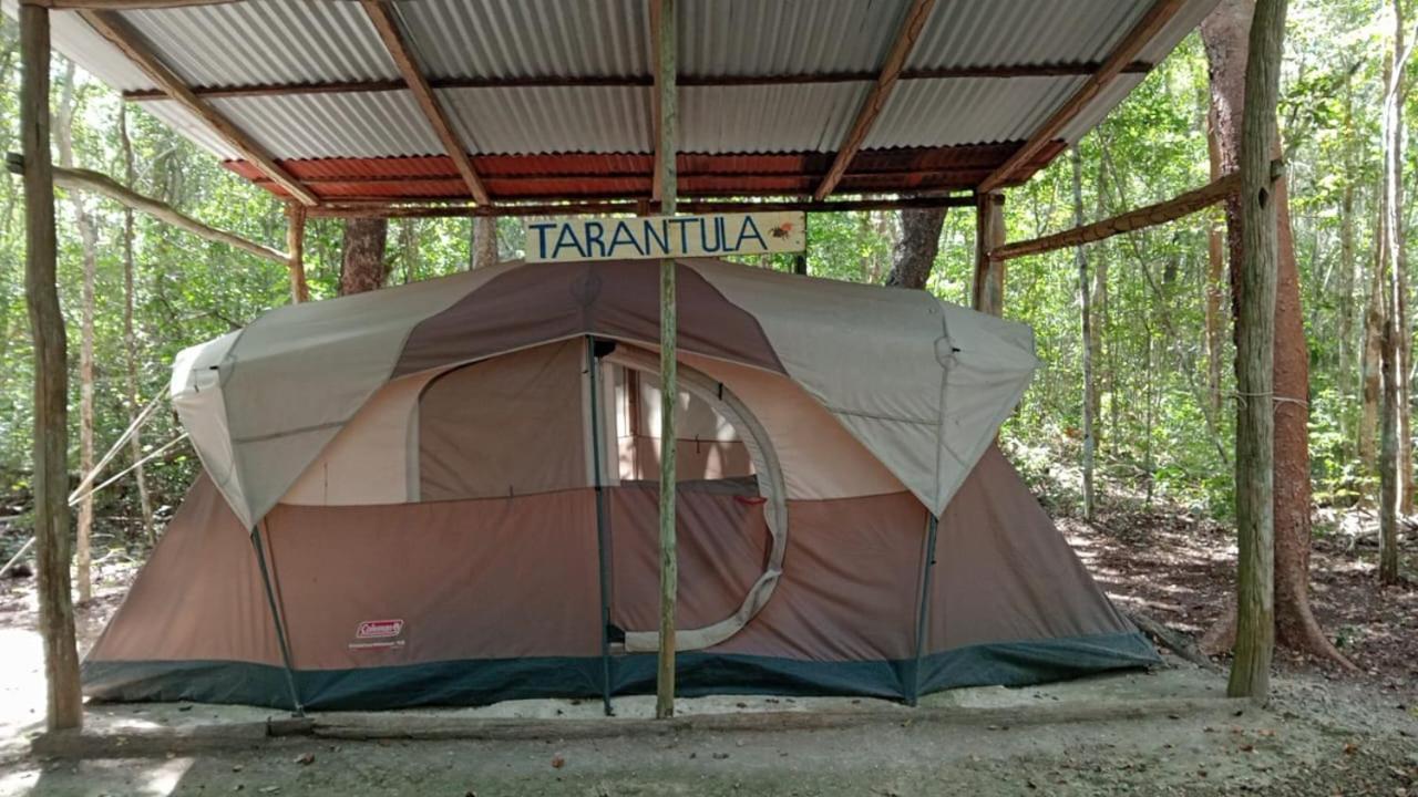 Campamento Yaax Che En Calakmul Conhuas Room photo