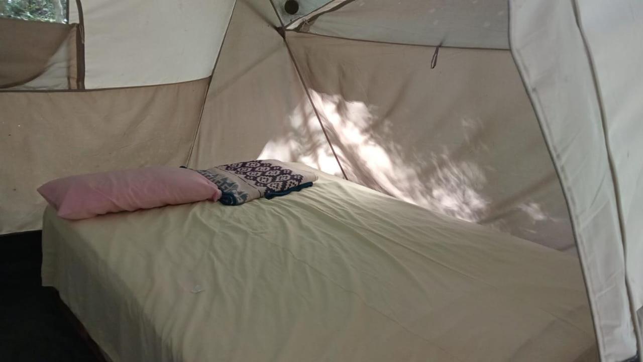 Campamento Yaax Che En Calakmul Conhuas Room photo