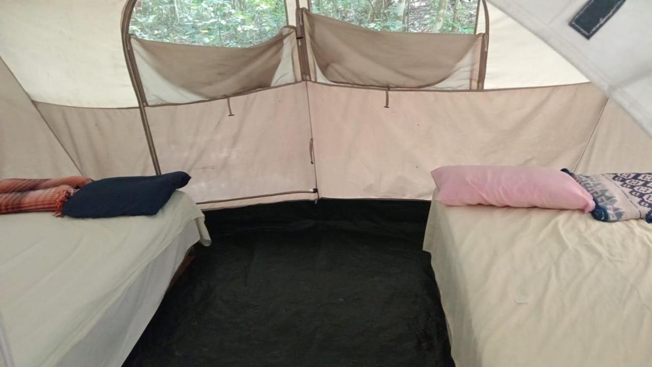Campamento Yaax Che En Calakmul Conhuas Room photo