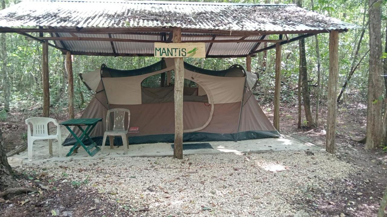 Campamento Yaax Che En Calakmul Conhuas Room photo