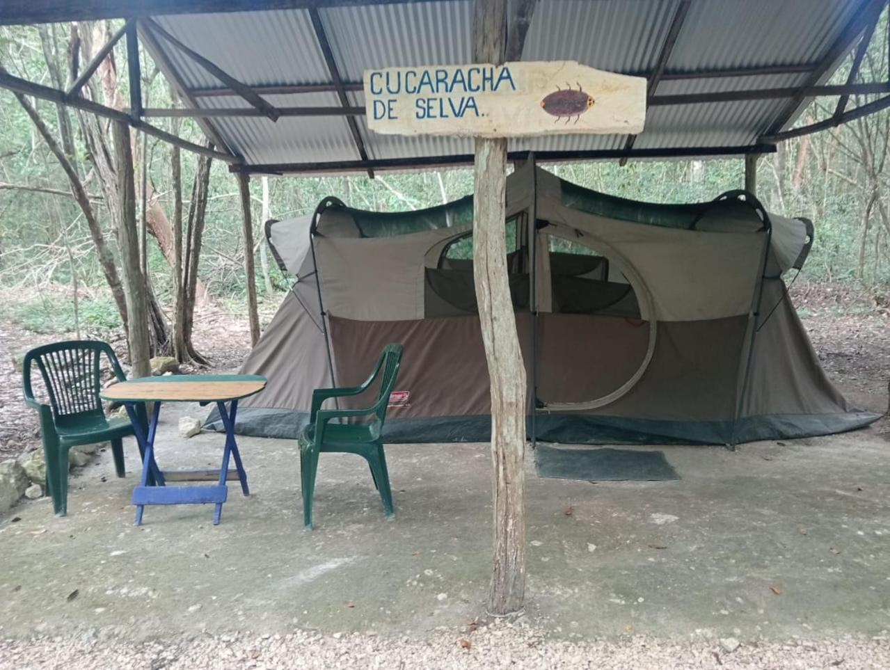 Campamento Yaax Che En Calakmul Conhuas Room photo