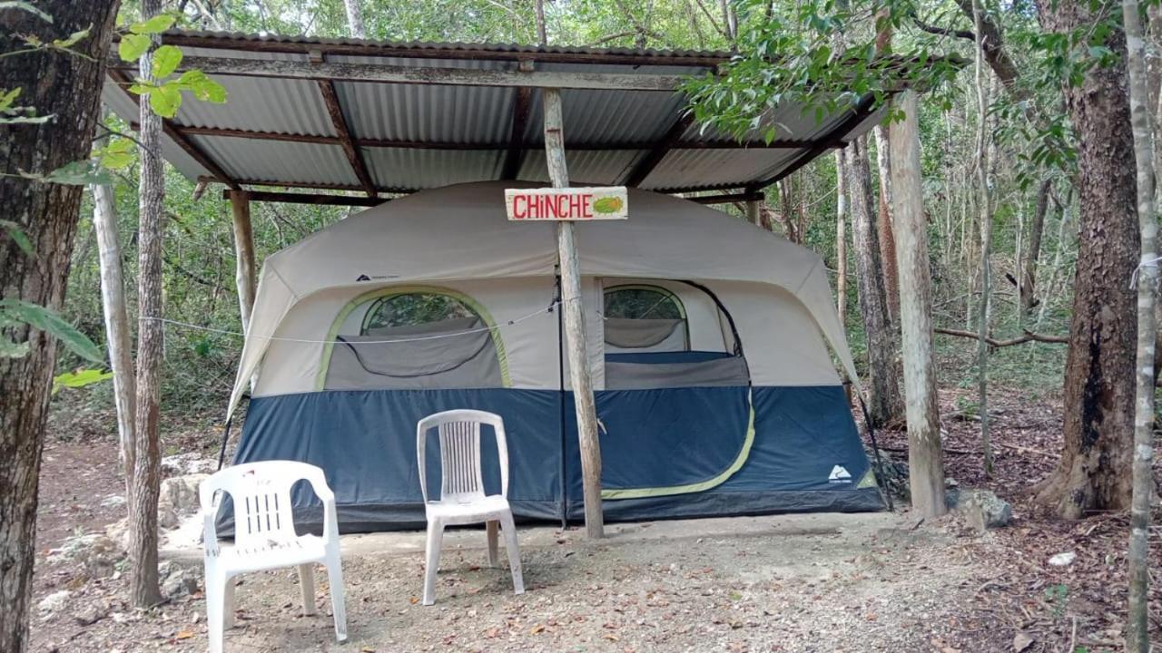 Campamento Yaax Che En Calakmul Conhuas Room photo