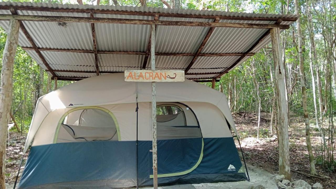 Campamento Yaax Che En Calakmul Conhuas Room photo