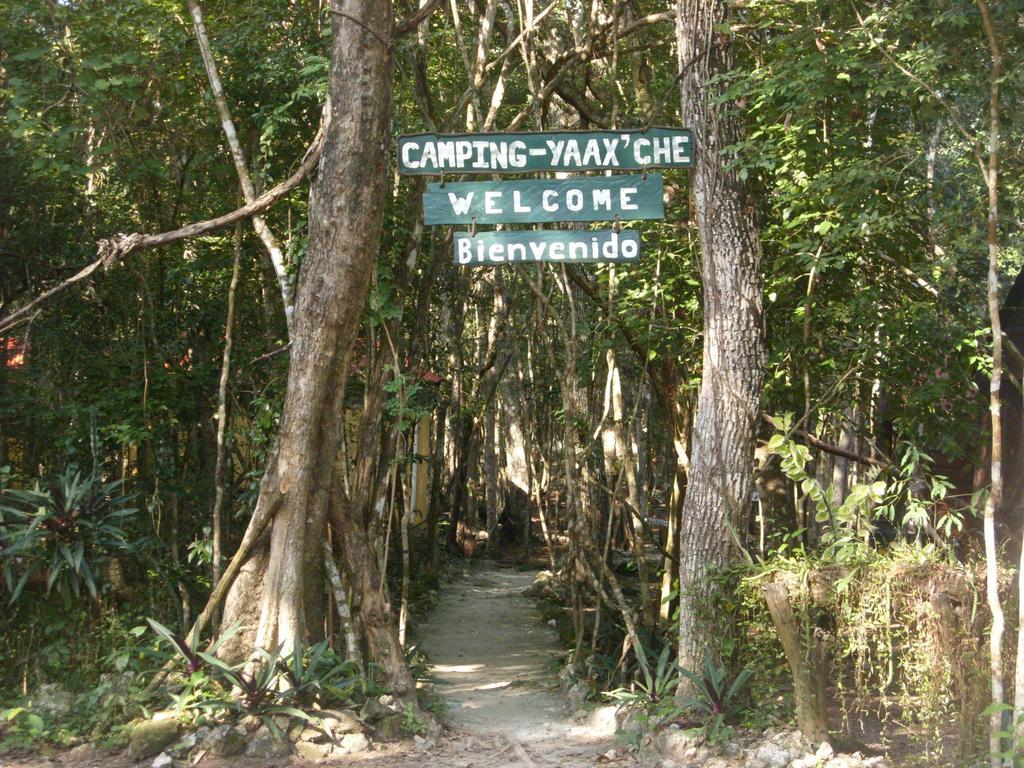 Campamento Yaax Che En Calakmul Conhuas Room photo
