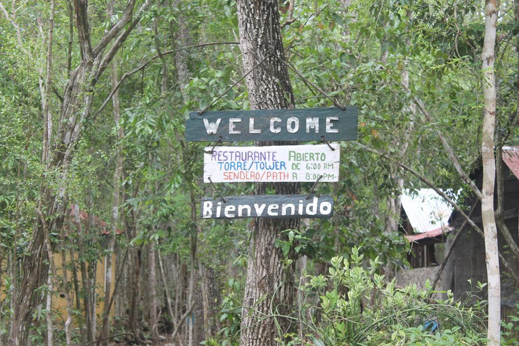 Campamento Yaax Che En Calakmul Conhuas Exterior photo
